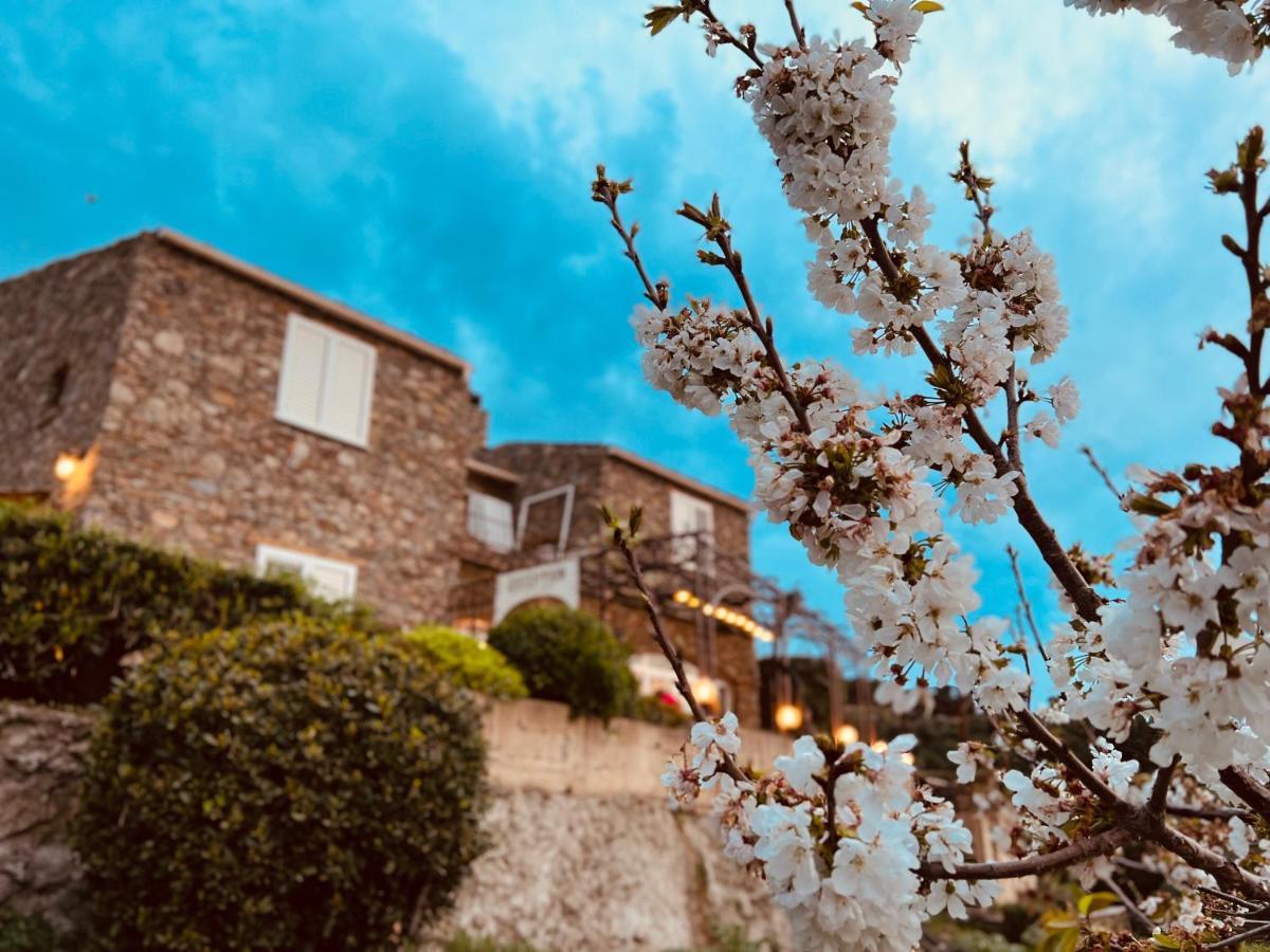 Casa Di Babbo Panzió Macinaggio  Kültér fotó