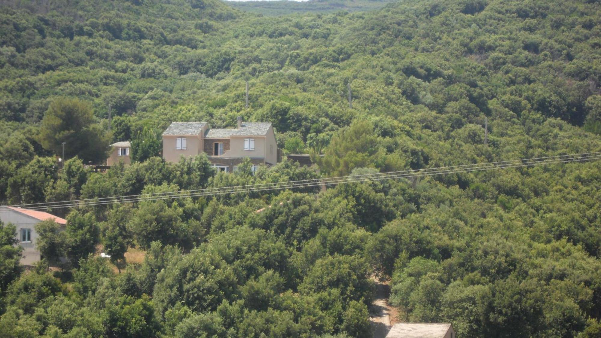 Casa Di Babbo Panzió Macinaggio  Kültér fotó